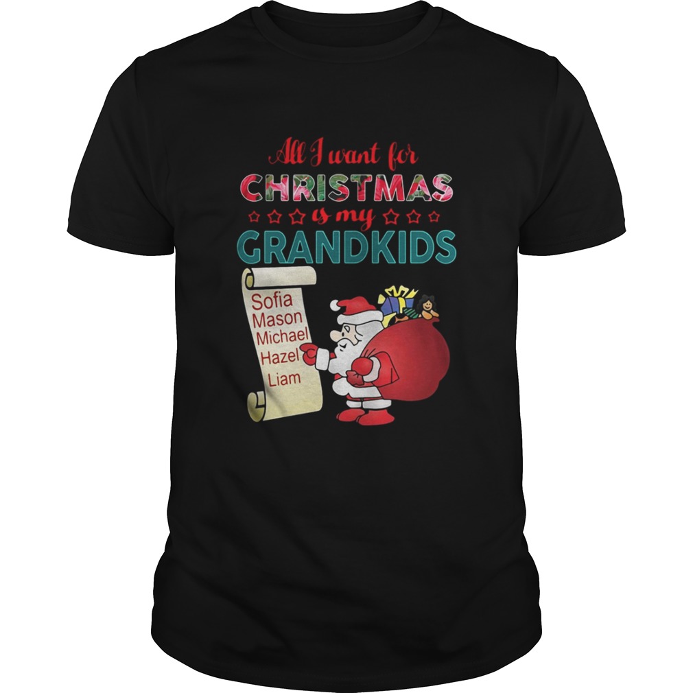 All I want for Christmas is my Grandkids shirt and sweater