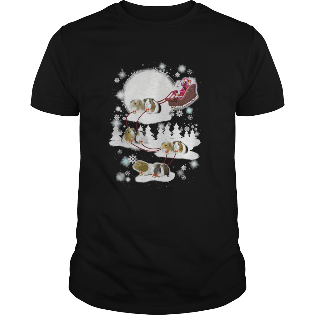 Guinea Pig Christmas shirt