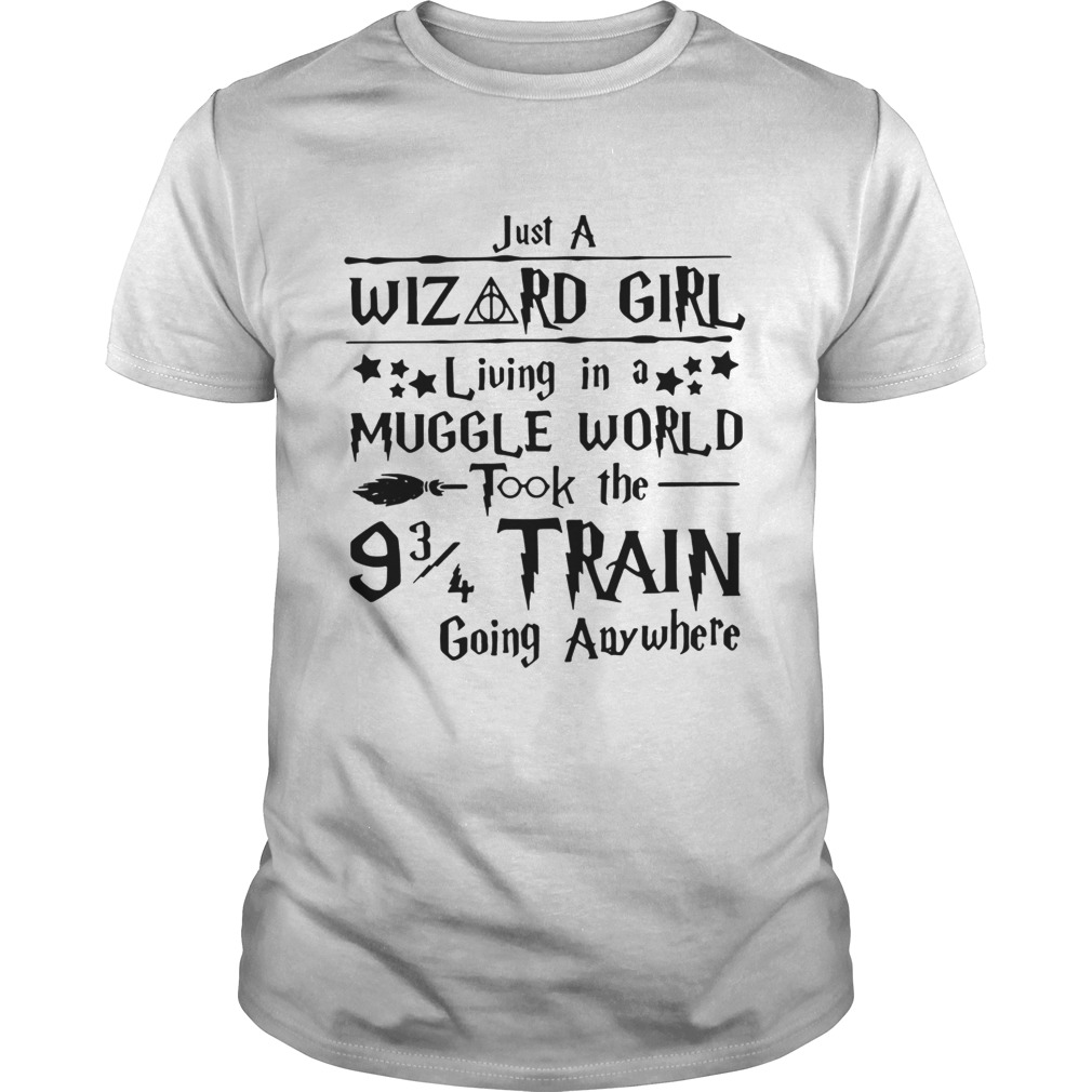 Muggle World Took The Hogwarts Train Going Anywhere Shirt