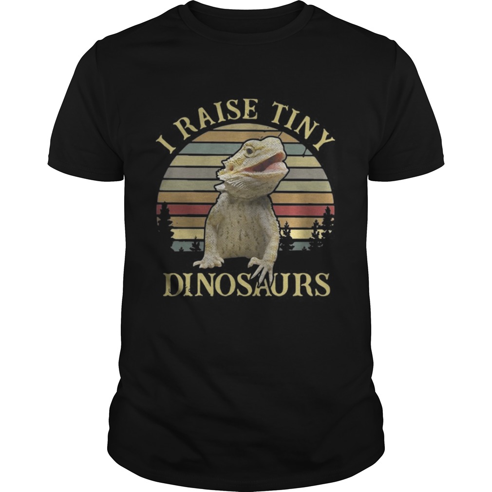 Sunset I raise tiny dinosaurs shirt