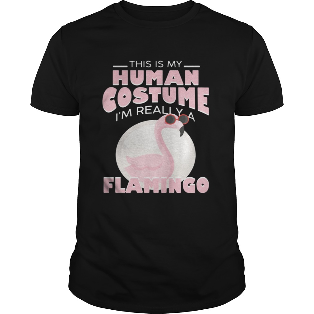 This is my human costume I’m really a Flamingo shirt