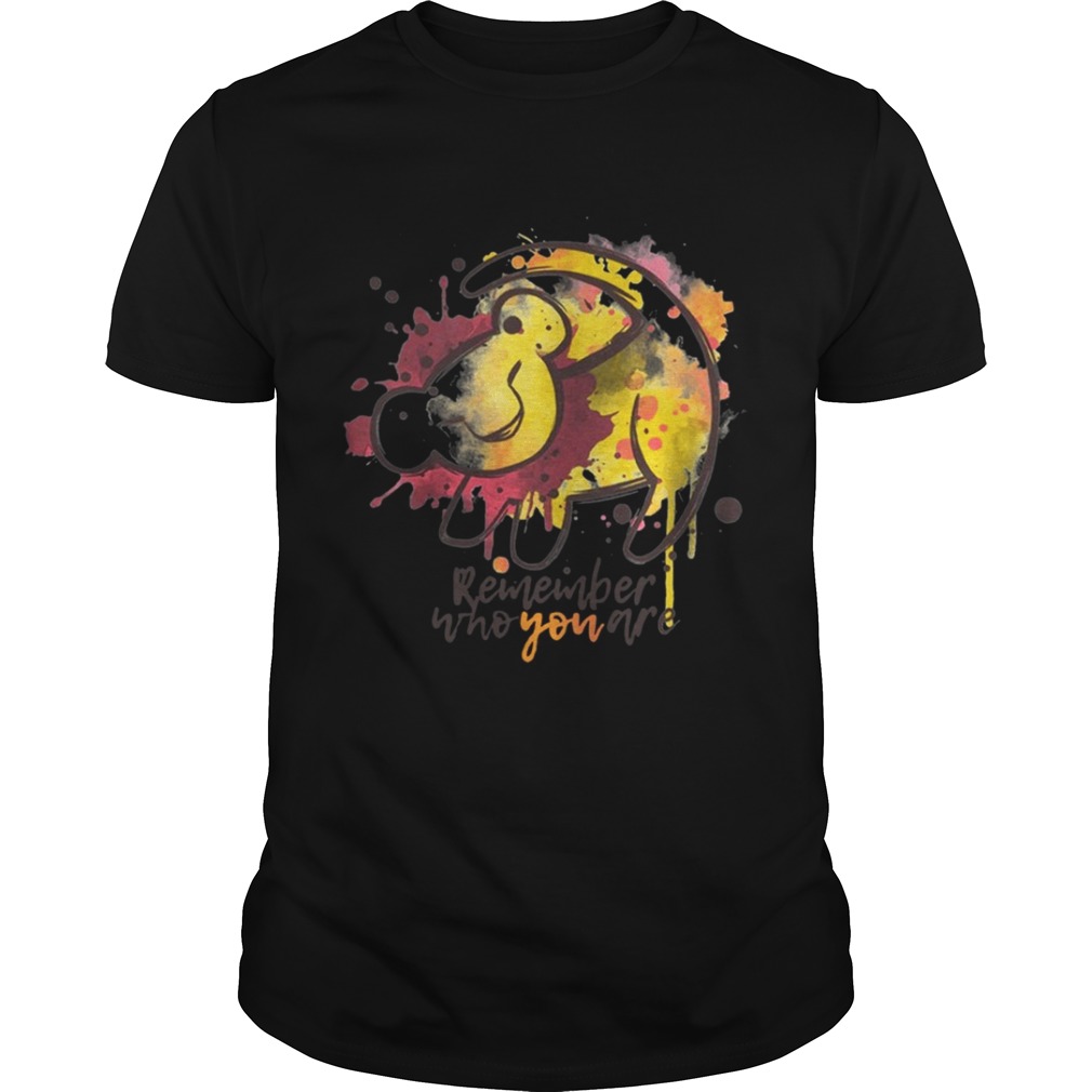 Lion King Remember who you are tshirt