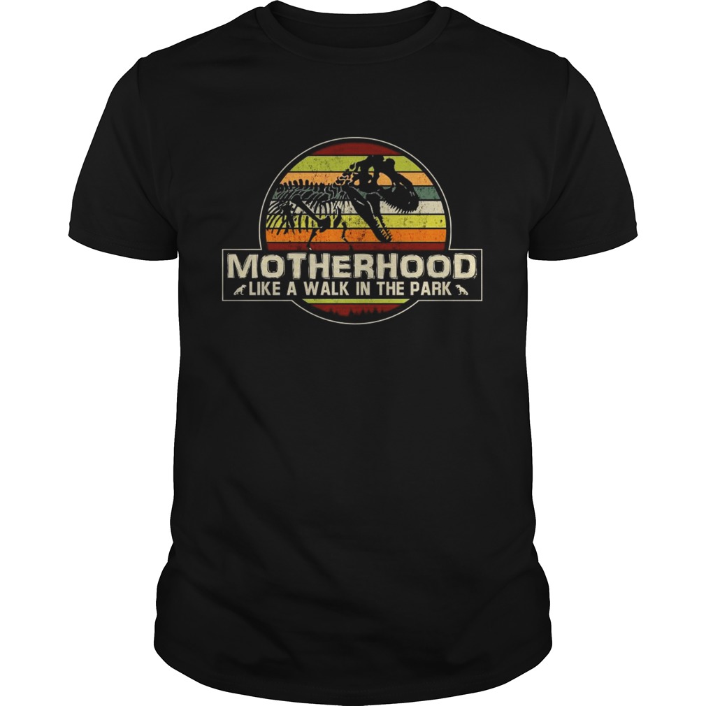 Dinosaur Motherhood like a walk in the park vintage sunset shirt