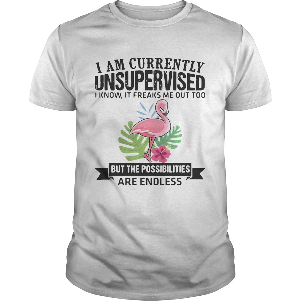 Flamingo I am currently unsupervised I know It freaks me out too but the possibilities are endless shirt