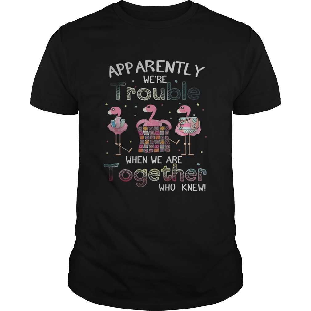 Apparently we’re trouble when we are together flamingo quilting shirt