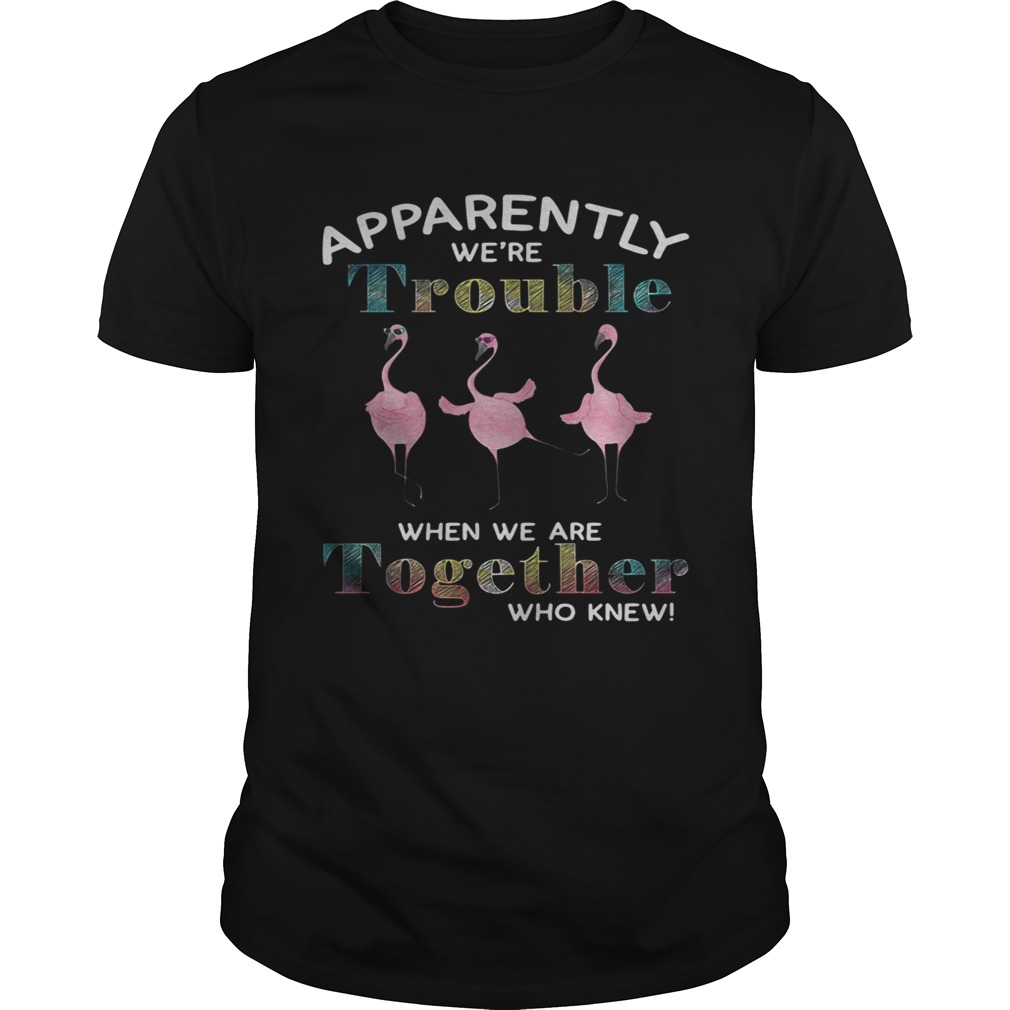 Flamingo apparently we’re trouble when we are together who knew tshirt