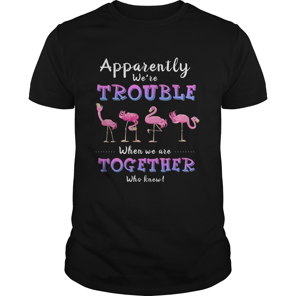 Original Apparently Were Trouble When We Are Together Flamingo shirt