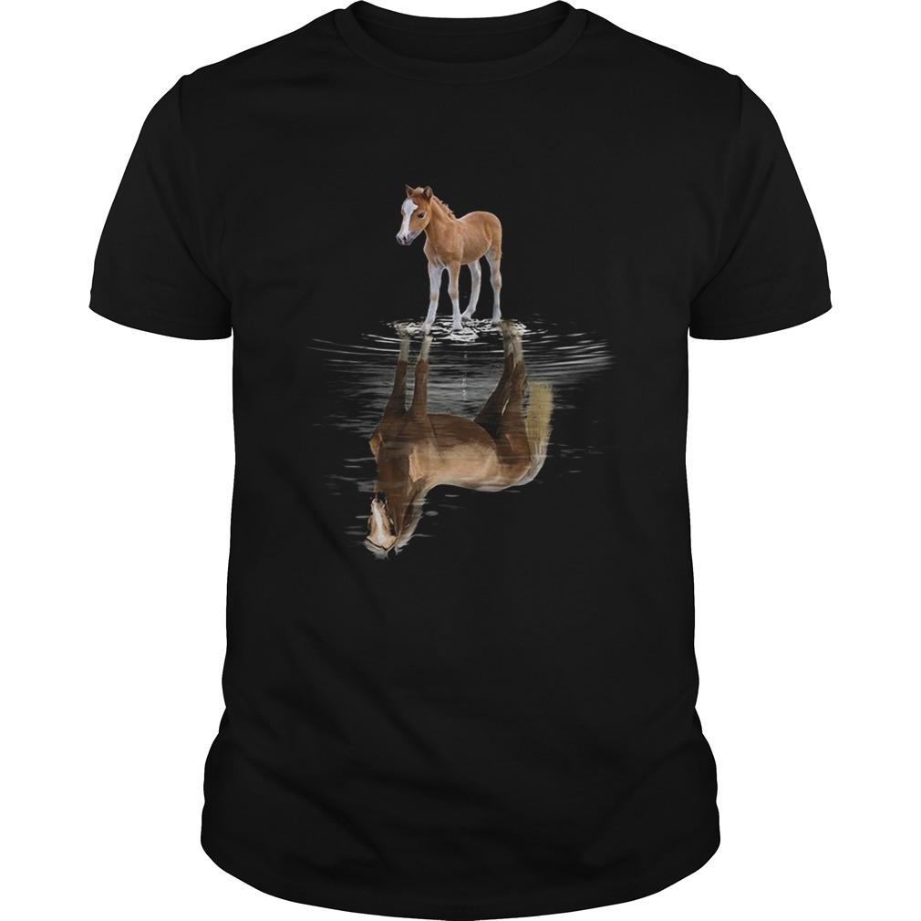 Horse reflection shirt