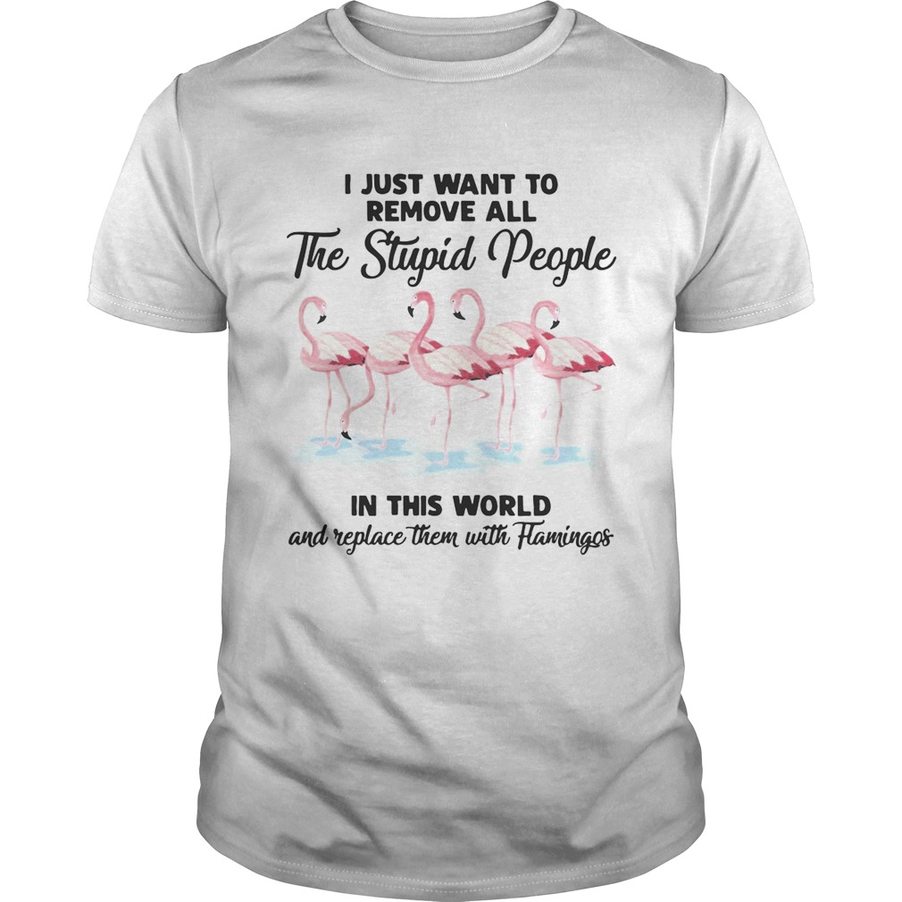 I just wantto remove allthe stupid people in this world and shirt