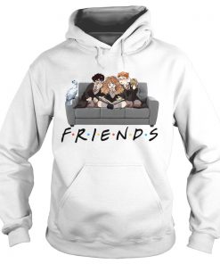 Harry Potter Ron And Hermione Friends Shirt Hoodie