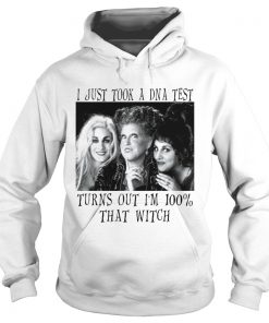 Hocus Pocus I just took a DNA test turns out Im 100 that witch  Hoodie