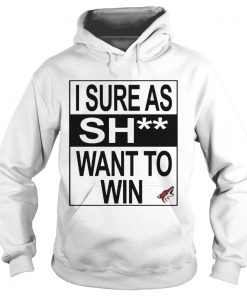 I Sure as Shit Want To Win Arizona Coyotes  Hoodie