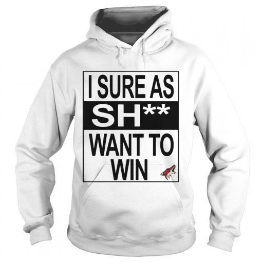 I Sure as Shit Want To Win Arizona Coyotes  Hoodie