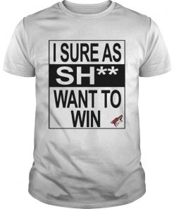 I Sure as Shit Want To Win Arizona Coyotes  Unisex