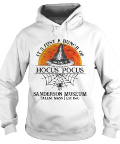 Its just a bunch of Hocus Pocus sanderson museum  Hoodie