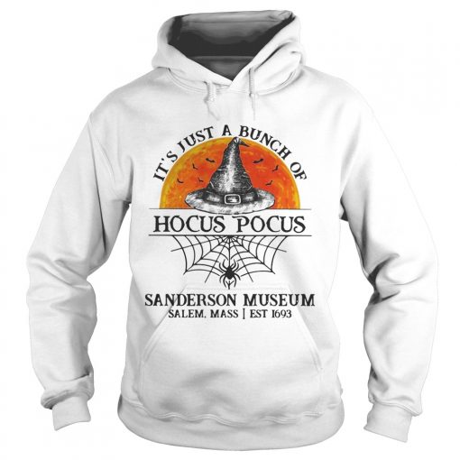 Its just a bunch of Hocus Pocus sanderson museum  Hoodie