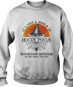 Its just a bunch of Hocus Pocus sanderson museum  Sweatshirt