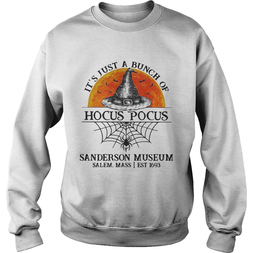 Its just a bunch of Hocus Pocus sanderson museum Sweatshirt