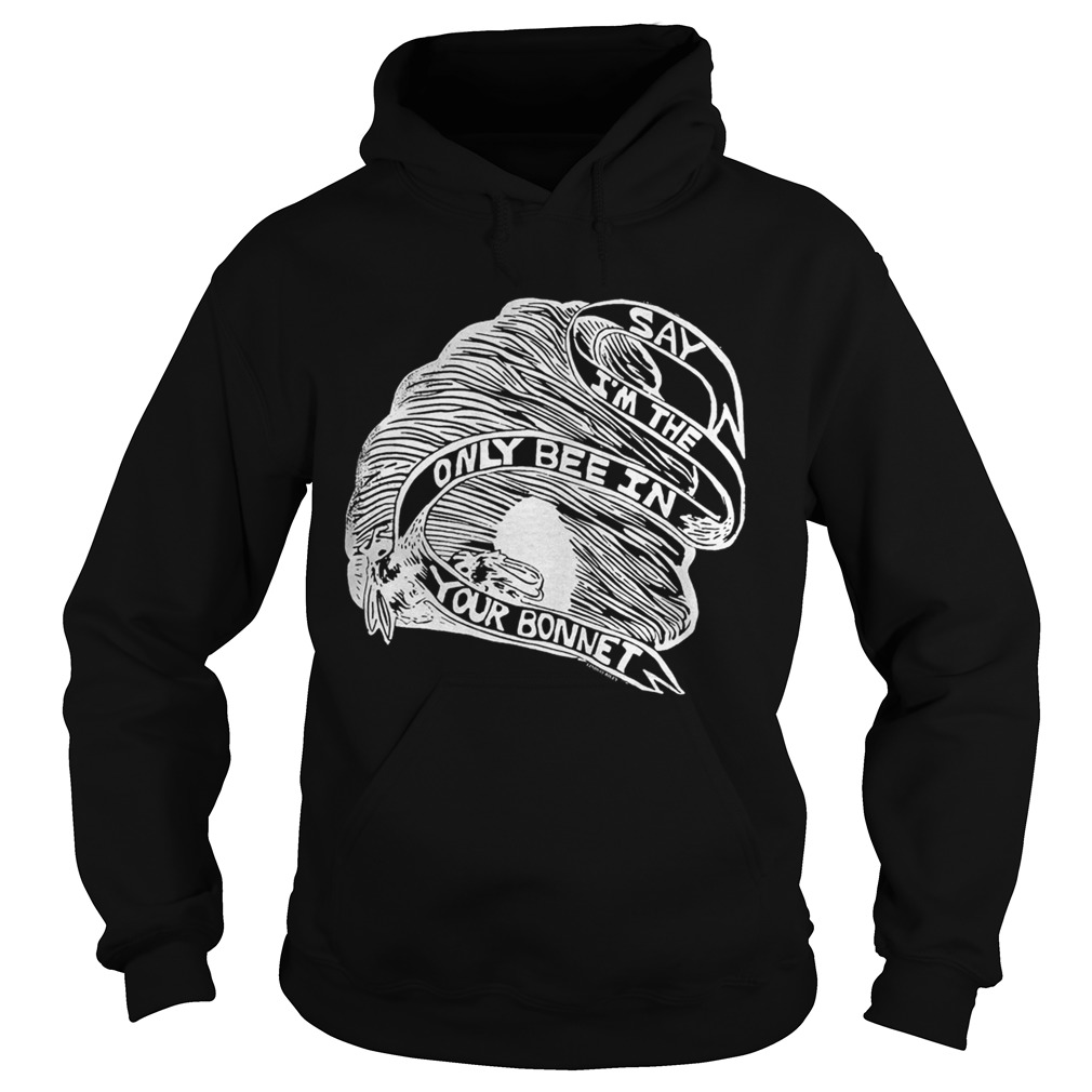 They Might Be Giants Raices Benefit Say Im The Only Bee In Your Bonnet Shirt Hoodie