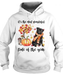 Dog its the most wonderful time of the year  Hoodie