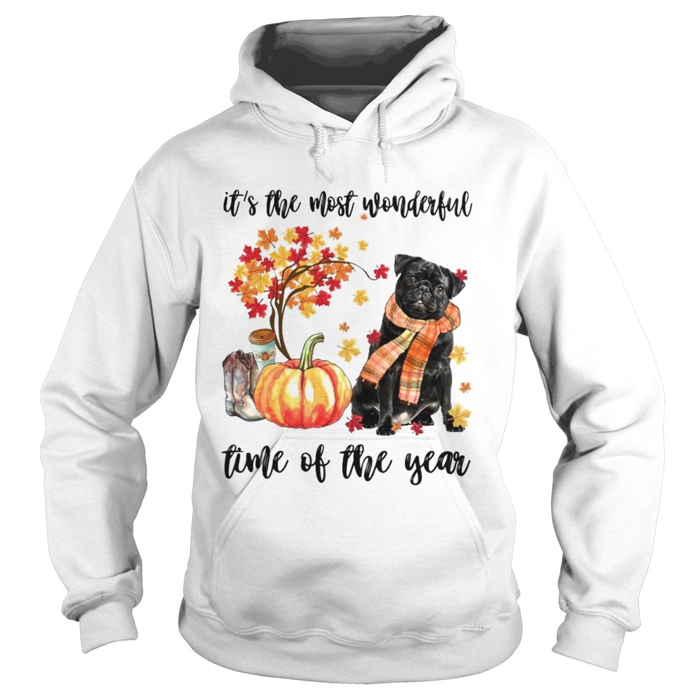 Dog its the most wonderful time of the year Hoodie
