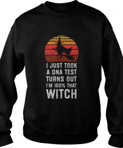 I Just Took a DNA Test Turns Out Im 100 That Witch TShirt Sweatshirt