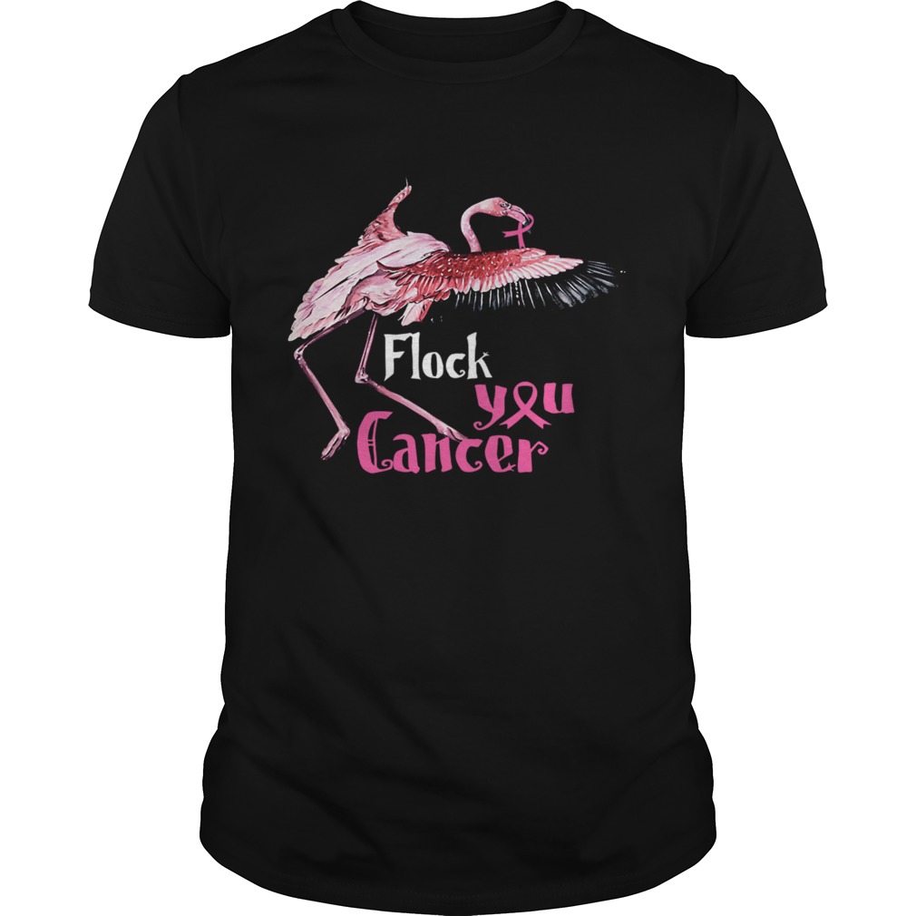Breast Cancer Awareness Flock You Cancer Flamingo Unisex Hoodie 