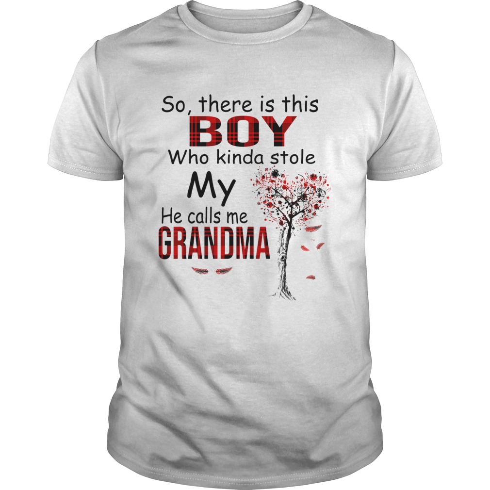 So There Is This Boy Who Kinda Stole My He Calls Me Grandma TShirt
