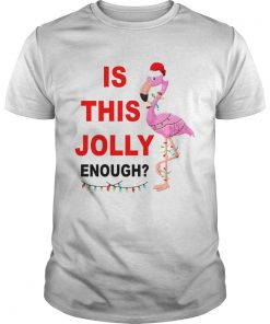 Flamingo Christmas is this Jolly enough  Unisex