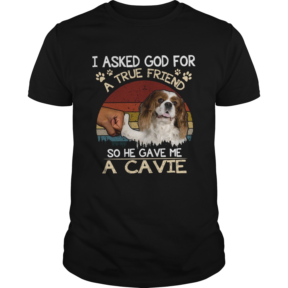 I Asked God For A True Friend So He Gave Me A Cavie dog Vintage shirt
