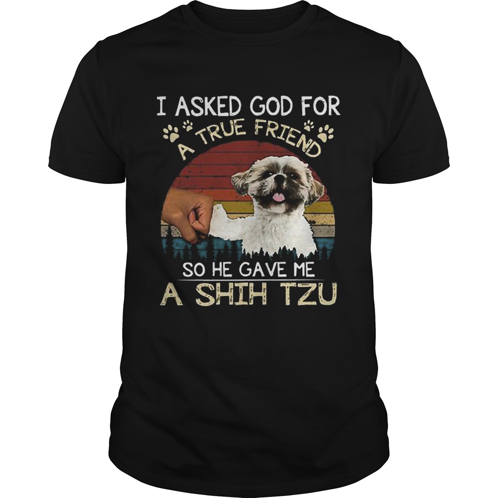I ask God for a true friend so he gave me a Shih Tzu vintage shirt