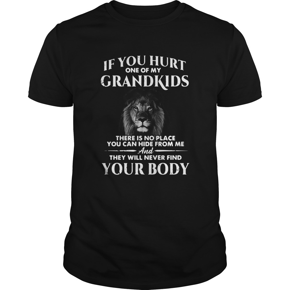 Lion If You Hurt One Of My Grandkids There Is No Place You Can Hide From Me shirt