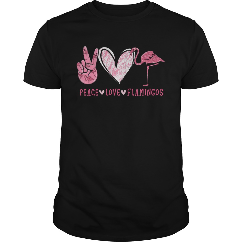 Peace Love Flamingos shirt