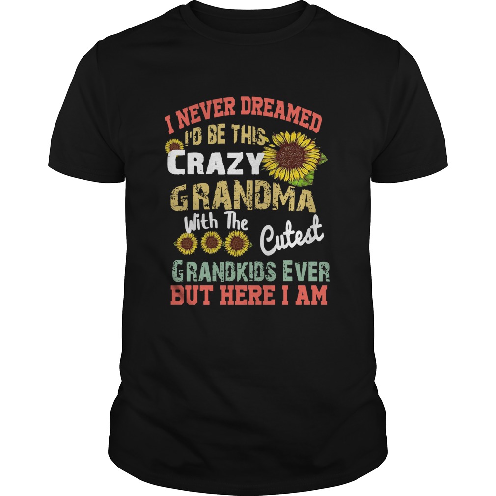 Sunflower I Never Dreamed Id Be This Crazy Grandma shirt