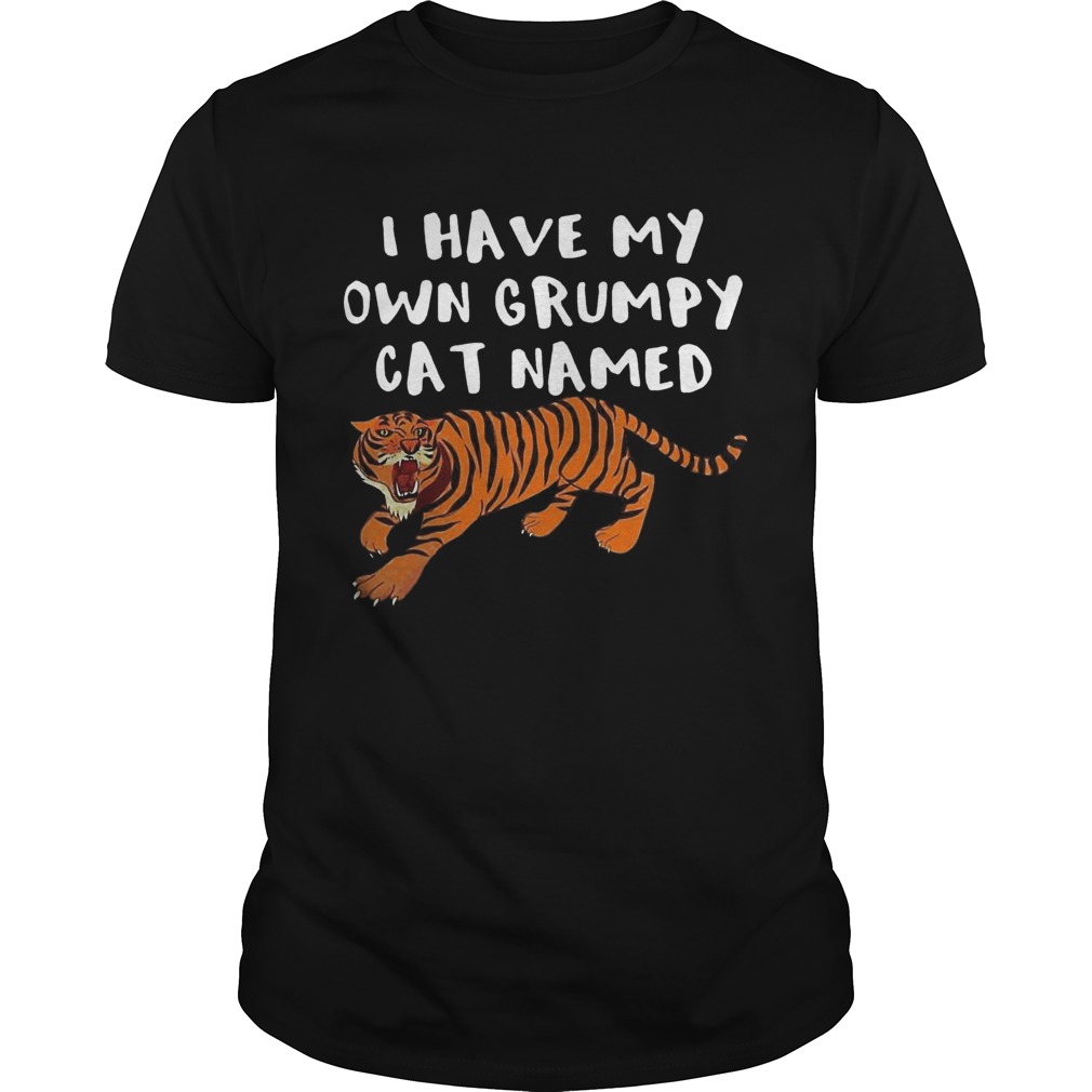 I Have My Own Grumpy Cat Named Tiger shirt