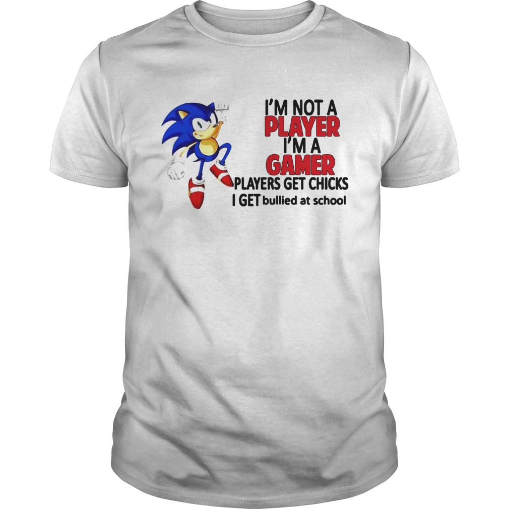 Sonic Im Not A Player Im A Gamer Players Get Chicks I Get Bullied At School shirt