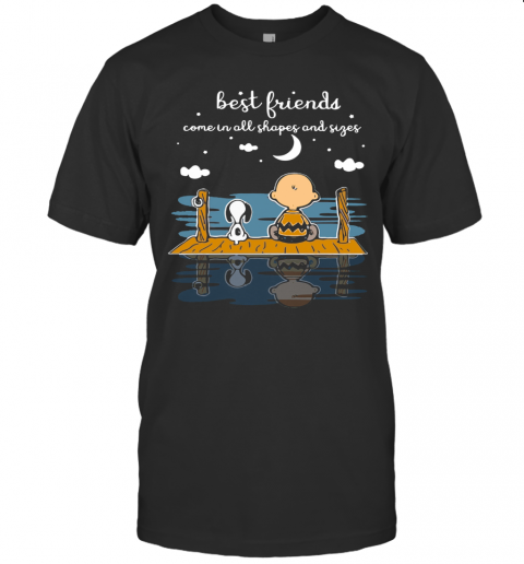 Snoopy And Peanut Best Friends Come In All Shapes And Sizes T-Shirt