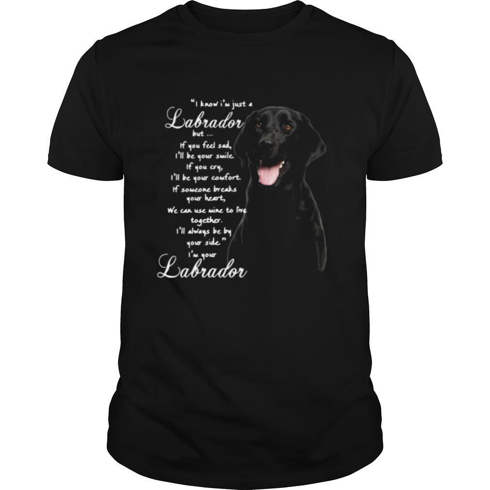 I Know I'm Just A Labrador But If You Feel Sad I'll Be Your Smile shirt