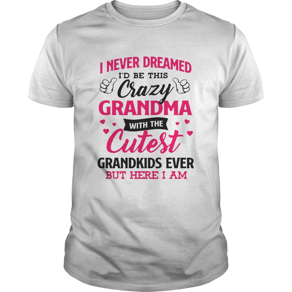 I Never Dreamed Id Be This Crazy Grandma With The Cutest Grandkids Ever But Here I Am shirt
