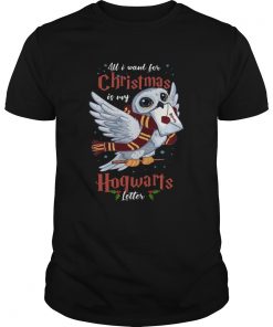 All I Want For Christmas Is My Hogwarts Letter  Unisex